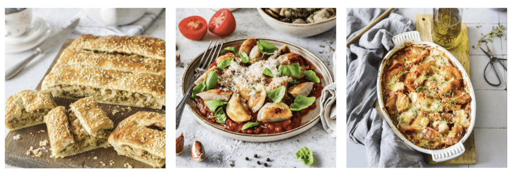 recipes from plant based protein